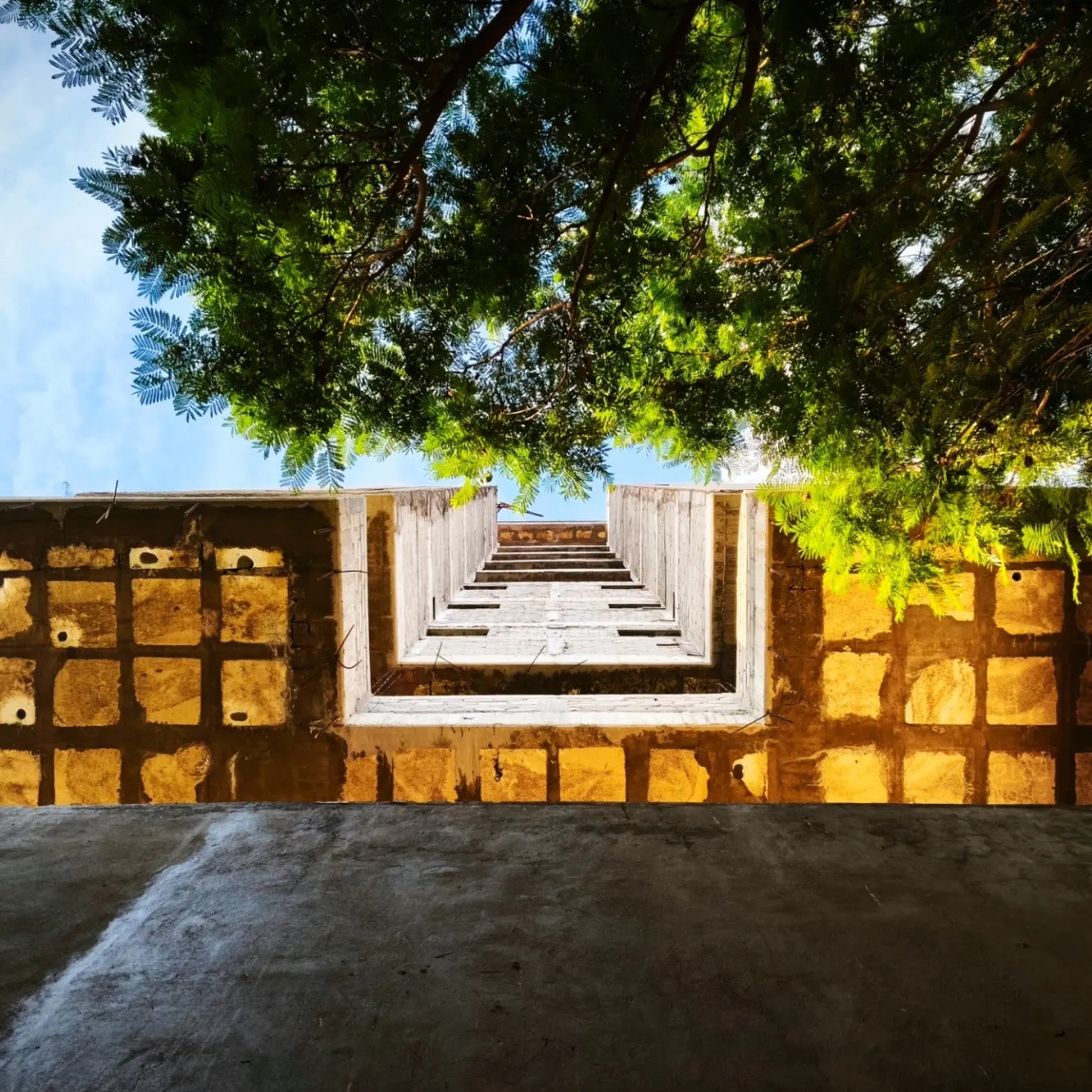 Patio de luz visto desde abajo, con muros de cantera amarilla y ramas de un árbol